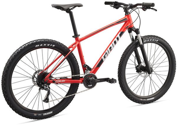 what's a good mountain bike for beginners