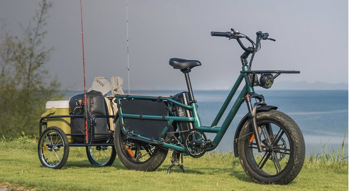 Fiido Electric Cargo Bike