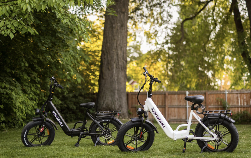 Kingbull Literider 2.0